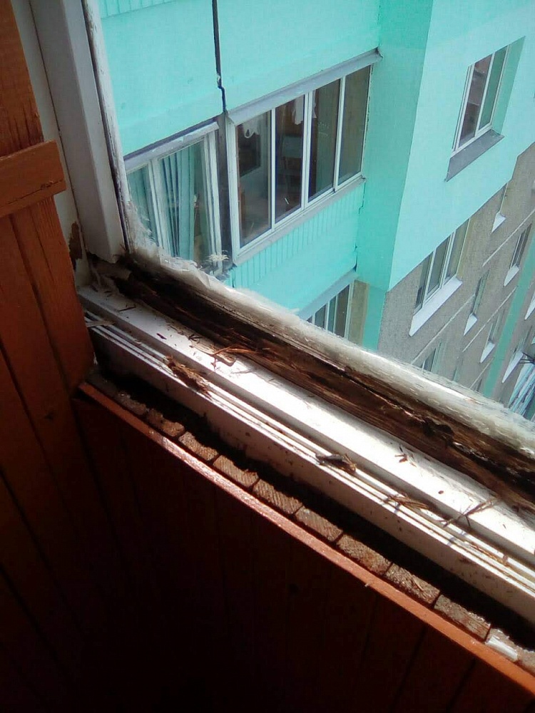Ремонт балконных окон на ул. Кульман
